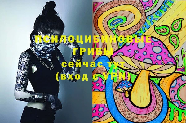 кокс Алексин
