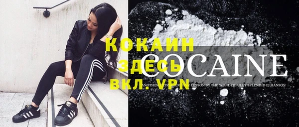 кокс Алексин