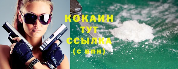 кокс Алексин